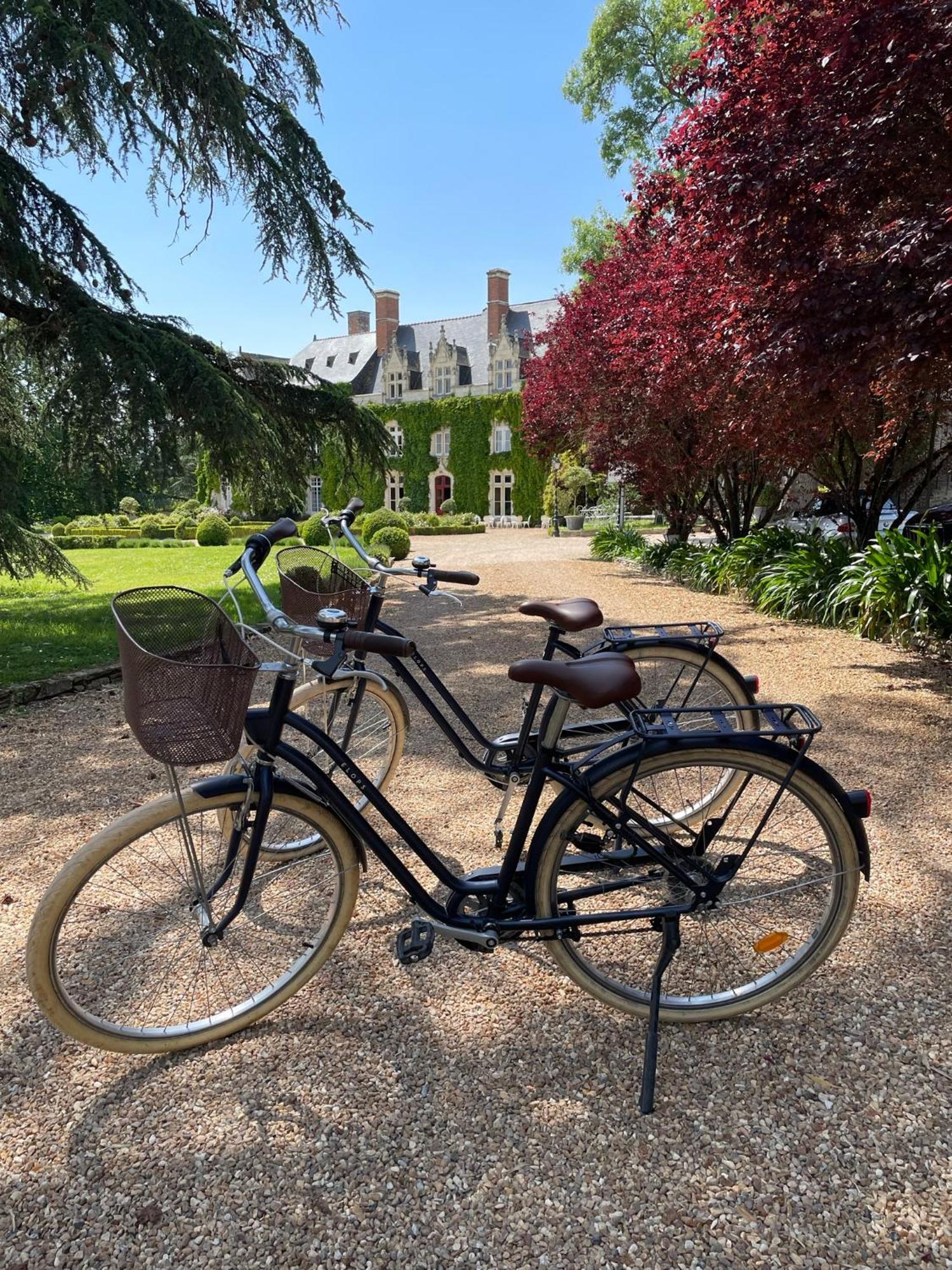 Chateau De L'Epinay Saint-Georges sur Loire Eksteriør billede