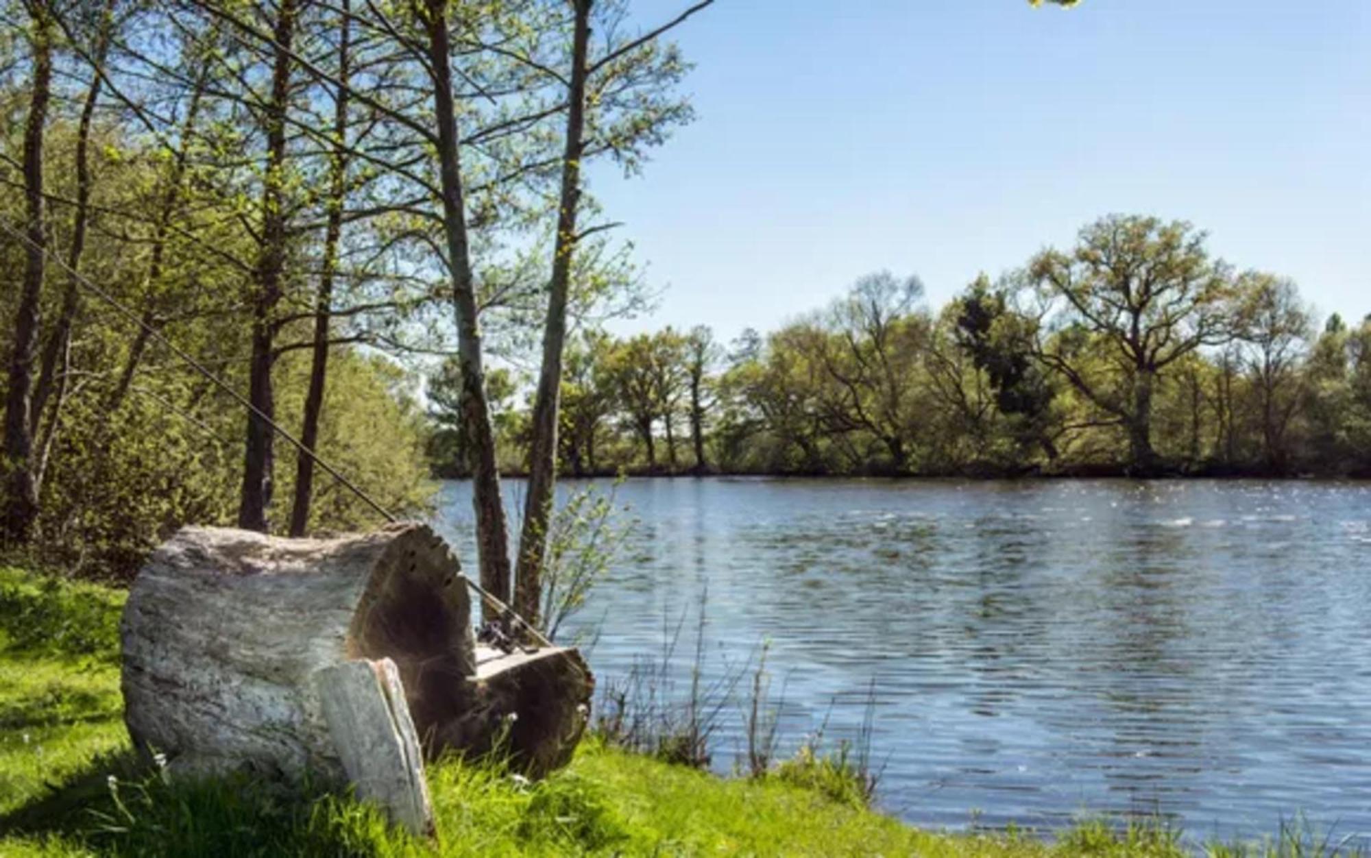 Chateau De L'Epinay Saint-Georges sur Loire Eksteriør billede
